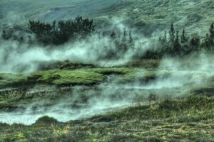 resized_23_fallback