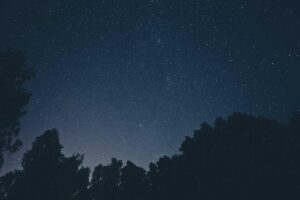 resized_41_fallback